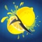 Slices is a fast paced juicy arcade gameplay where you aim to slice the fruits by shooting the blades