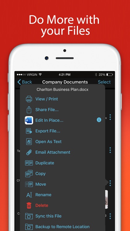 FileBrowser for Business