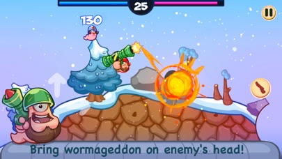 How to cancel & delete Worm Battle: Wormageddon from iphone & ipad 2