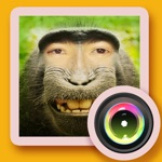 Funny face photo image editor