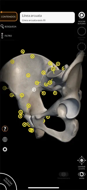 Captura 2 Esqueleto Anatomía 3D iphone