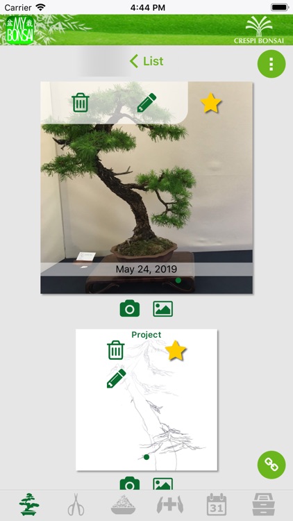 MyBonsai