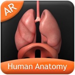 Human Anatomy Explorer