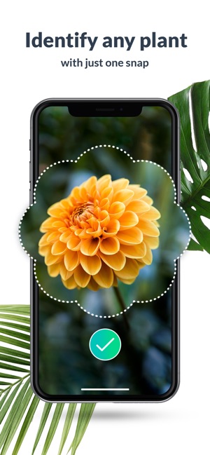 PlantFinder - Plant Identifier(圖1)-速報App