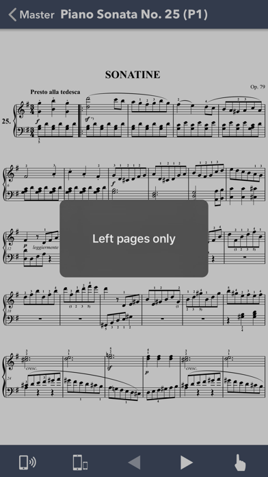 Beethoven: Piano Sonatas IV screenshot 4