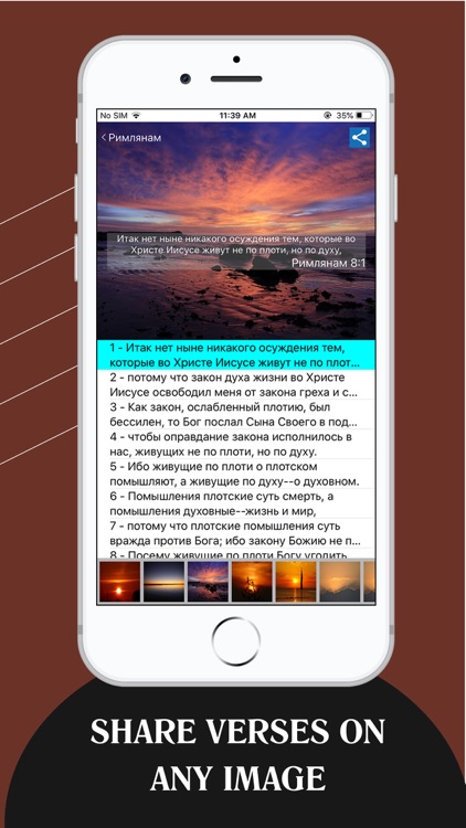 Russian Bible - Библия screenshot-5