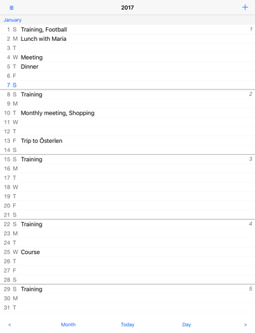 Month View Calendar - náhled