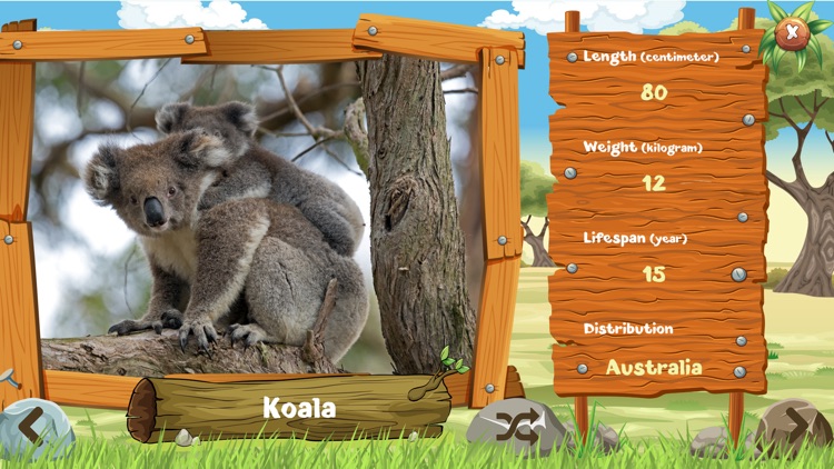 Smart Animals: Learn with Fun