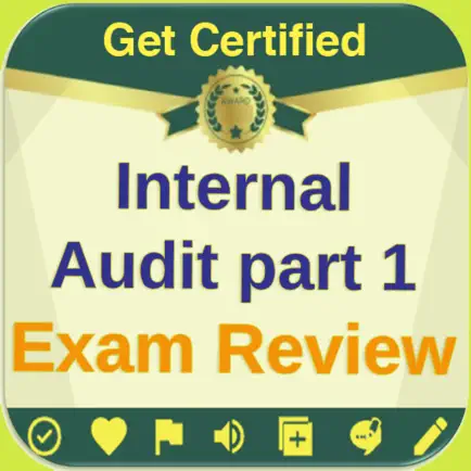 Internal Audit Exam 1400 Notes Читы