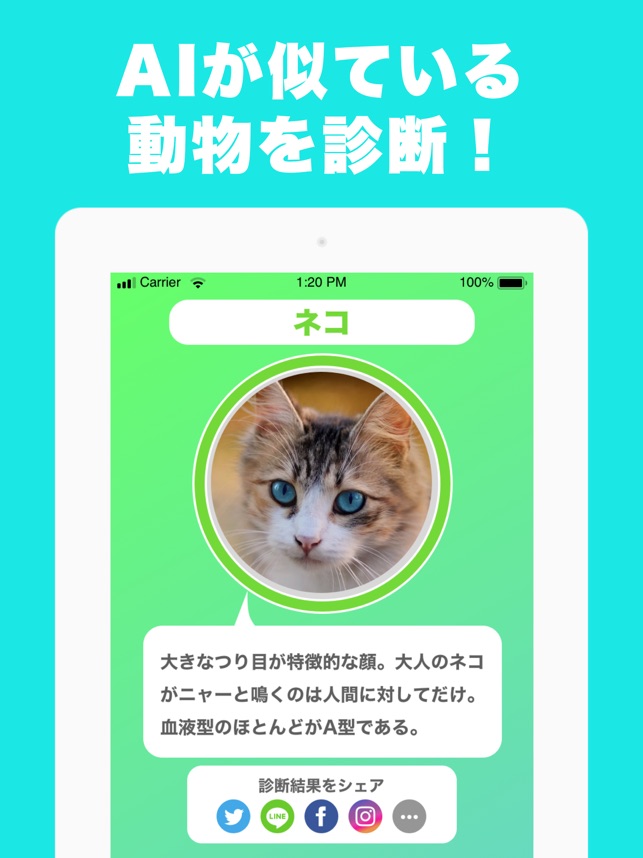 似てる顔の動物を診断するアプリ どうぶつカメラ On The App Store