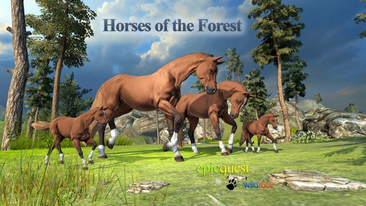 Horses of the Forest screenshot-0