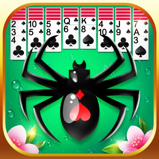 Spider Solitaire Fun
