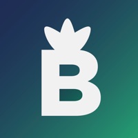 BudBuds.us app funktioniert nicht? Probleme und Störung