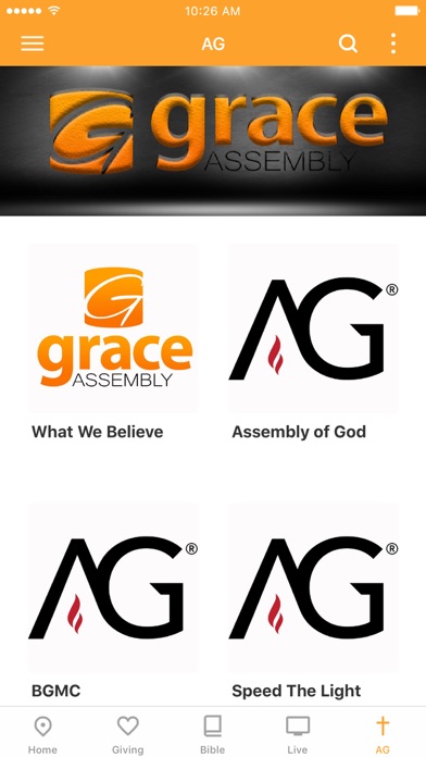 Grace AG screenshot 3