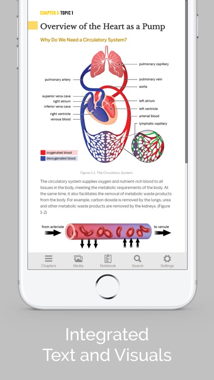 Cardiovascular Physiology