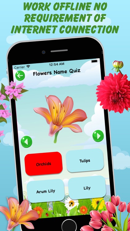 3133ComGamesFlowersName screenshot-4