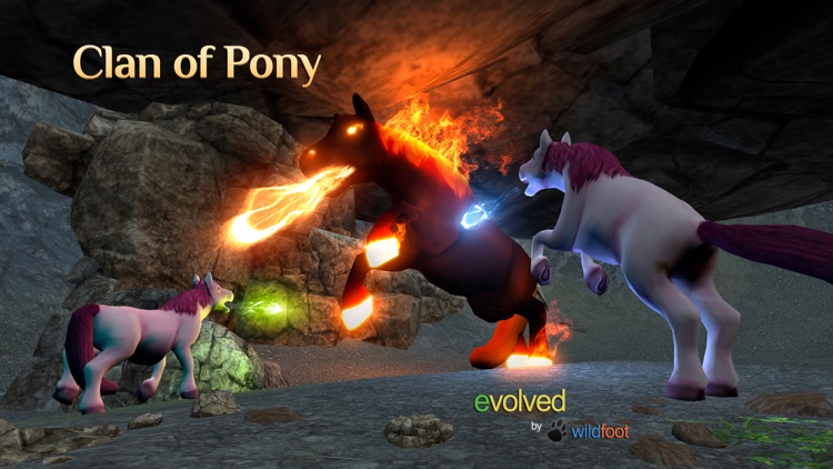 Clan Of Pony