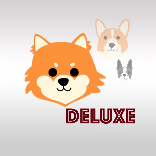 DeluxeCuteDogStc