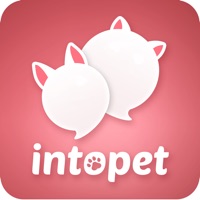 IntoPet  PC 용