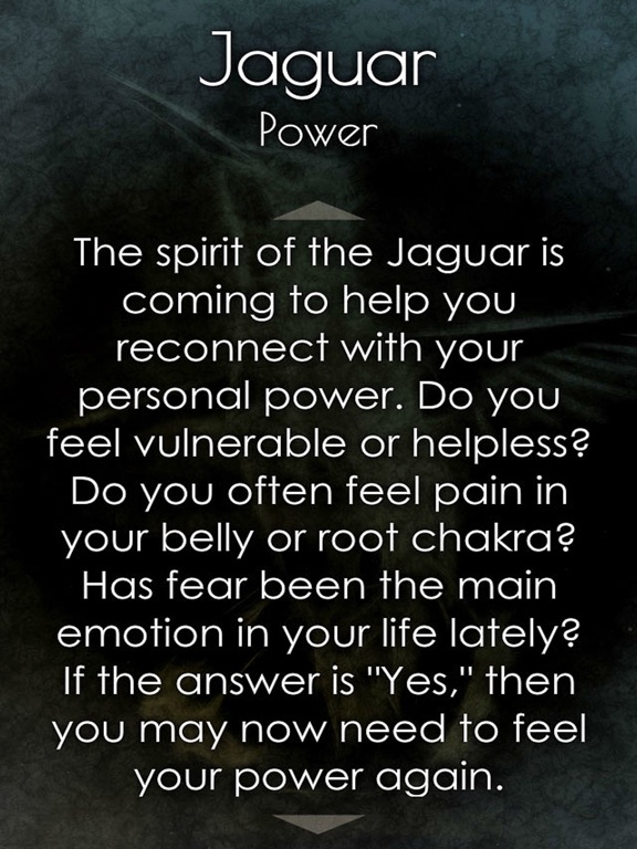 Shamanic Oracle Cards screenshot 3