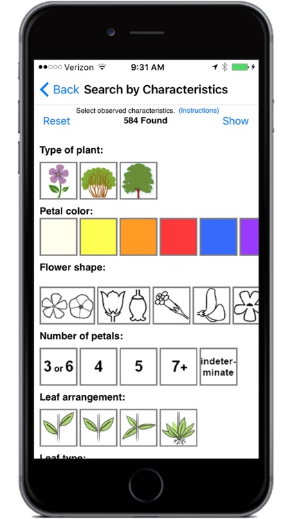 Yosemite Wildflowers screenshot-4