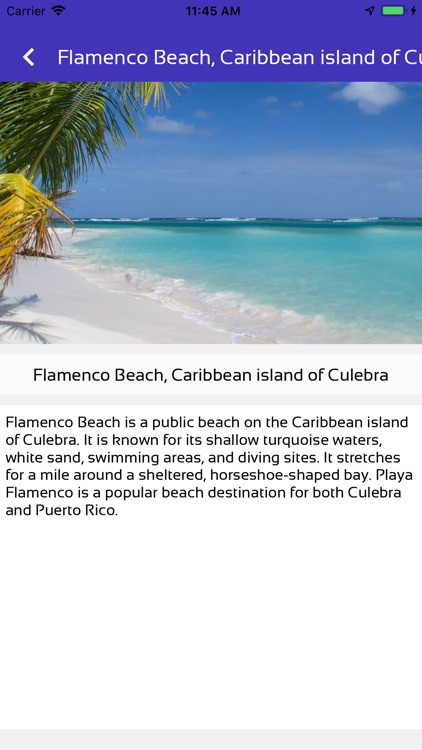 Flamenco Beach Charms