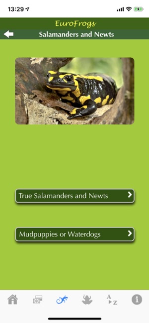 EuroFrogs(圖2)-速報App