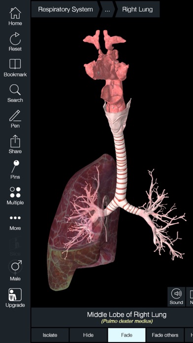 How to cancel & delete Essential Anatomy 5 from iphone & ipad 3