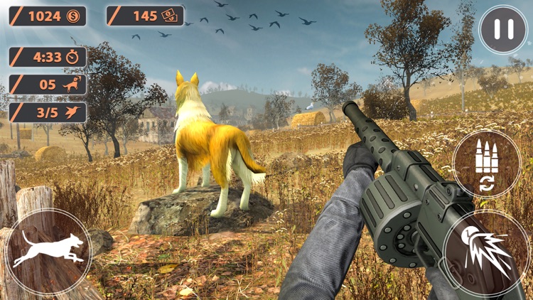 FPS Hunter: Bird Hunting 2020