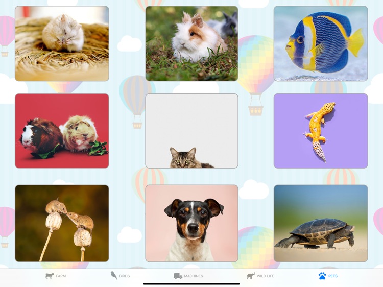 Toddler Flash Cards: Pictures screenshot-5