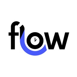 Flow Work Timer