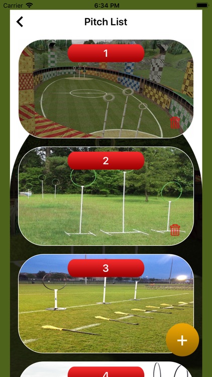 Quidditch Pitch Manager screenshot-4