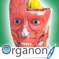 3D Organon Anatomy Enterprise apk