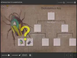 Game screenshot Introduction to Classification hack