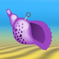 The Conch Shell for PC - Free Download: Windows 7,10,11 Edition