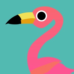 Flamingo for 조아라