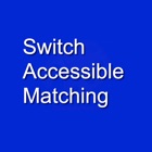 Switch Accessible - Matching