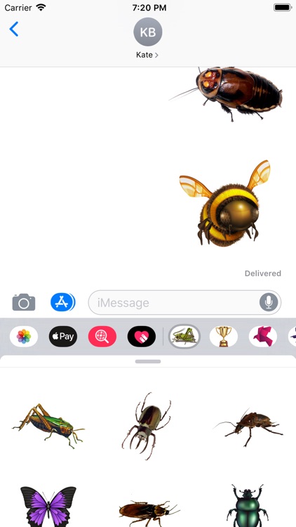 Insects Stickers screenshot-0