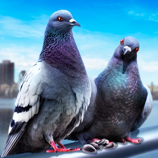 Pigeon Survival Simulator 3D 2 iOS App