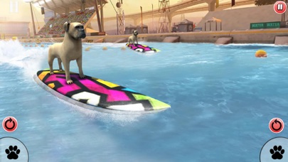Dog Surfing Championship 2020 screenshot 2