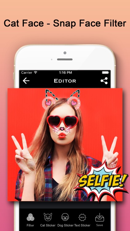 Cat Face - Snap Face Filter