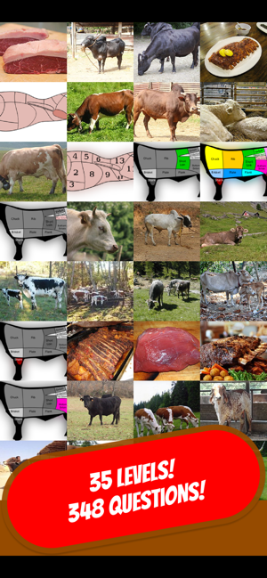 COW & BOVINE Quiz(圖1)-速報App