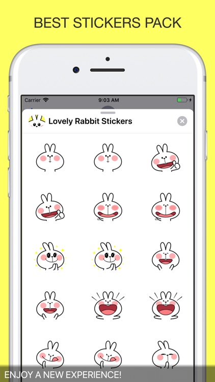 Lovely Rabbit Stickers Pro