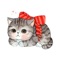 Little black cat sticker expression and joy decorate your life so that you can be active in chatting with your friend IMessag, or you can click on what you share to your friend