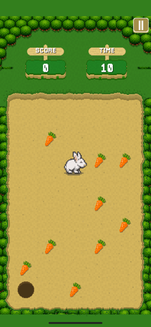 Race for the Veggies(圖3)-速報App