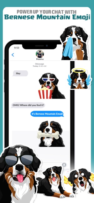 Bernese Mountain Dog Emoji(圖3)-速報App