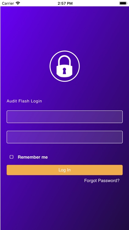 Audit Flash