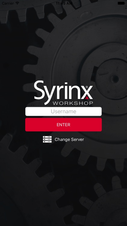 Syrinx Workshop