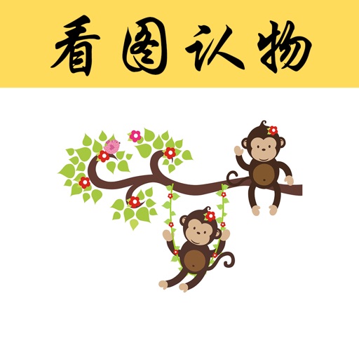 看图认物-卡片认物 ABC 英文字母