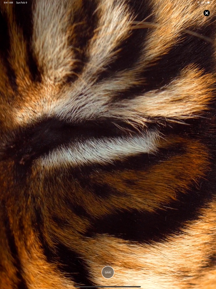 Live Wallpapers HD to iPhone